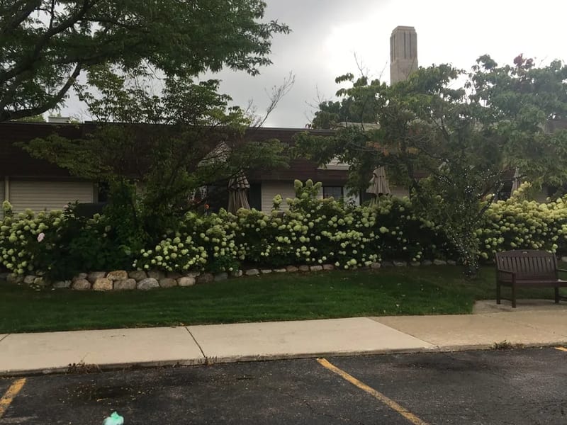 American House Stone - Assisted Living in Rochester Hills, MI photo 2