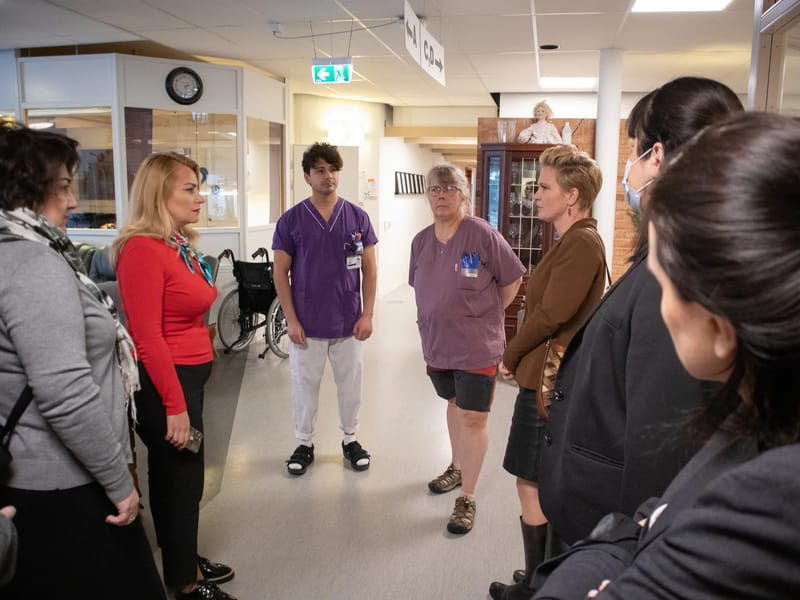 Hemtjänsten Tärnaby - Hemtjänst in Storuman, Västerbottens län photo 3