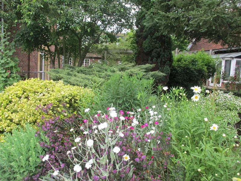 Red House Residential Home - Assisted Living in Thetford, England photo 2
