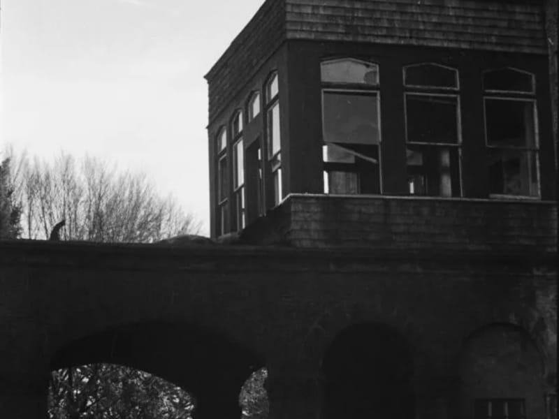 LlyonHealth - Northampton - In-Home Care in Northampton, England photo 4