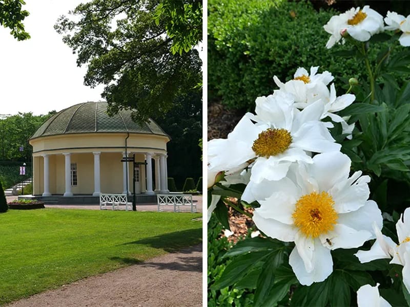 Lindeborgsgård - Äldreboende in Malmö, Skåne län photo 2