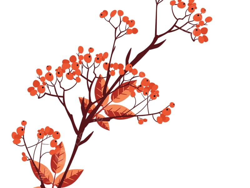 Rowan Tree in Stevenage, England photo 2