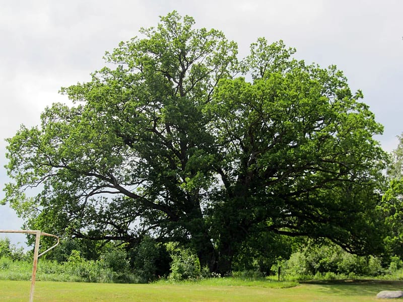 Ekegården - Äldreboende in Karlshamn, Blekinge län photo 2