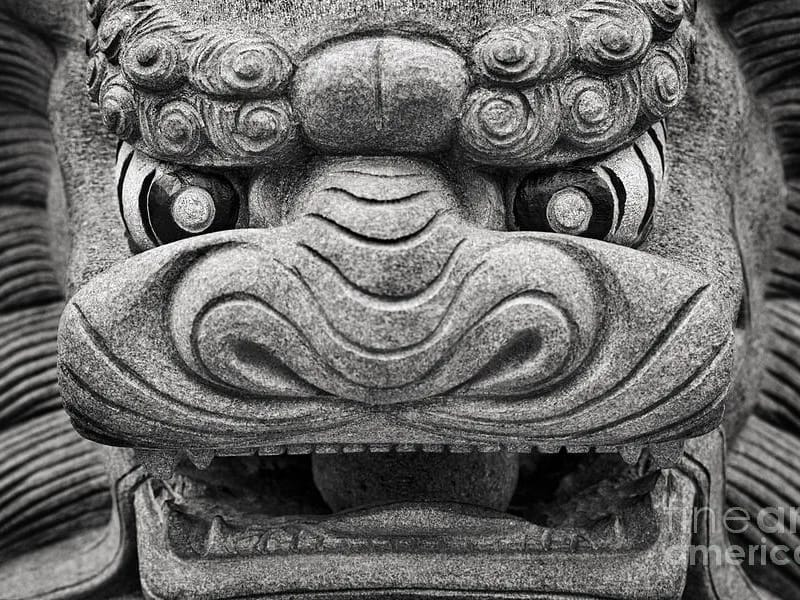 Ardent Guardian, PC - Elder Law in Mclean, VA photo 3