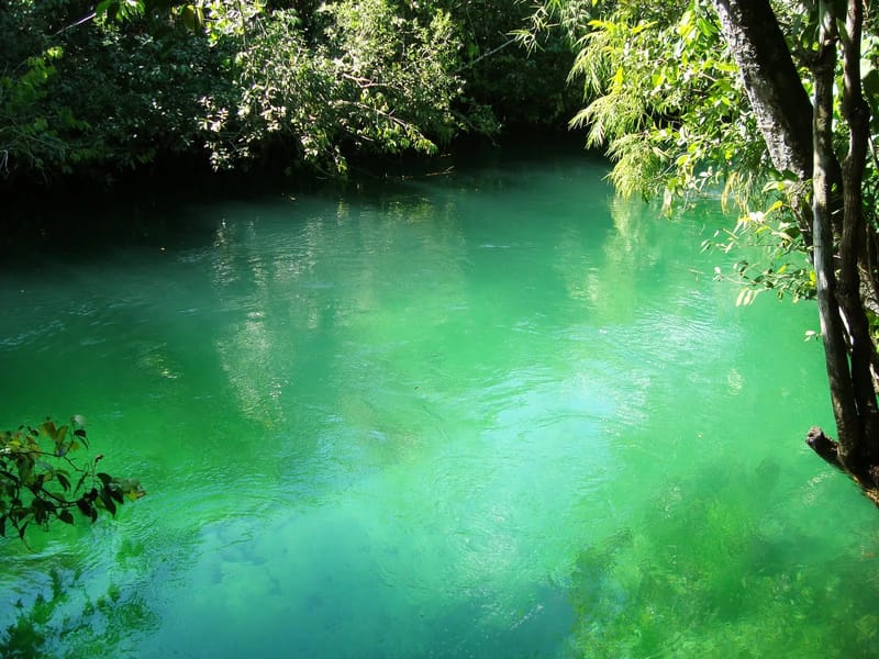 PHYSICAL RIO VERDE - Cuidado Domiciliar in Rio Verde, GO photo 2