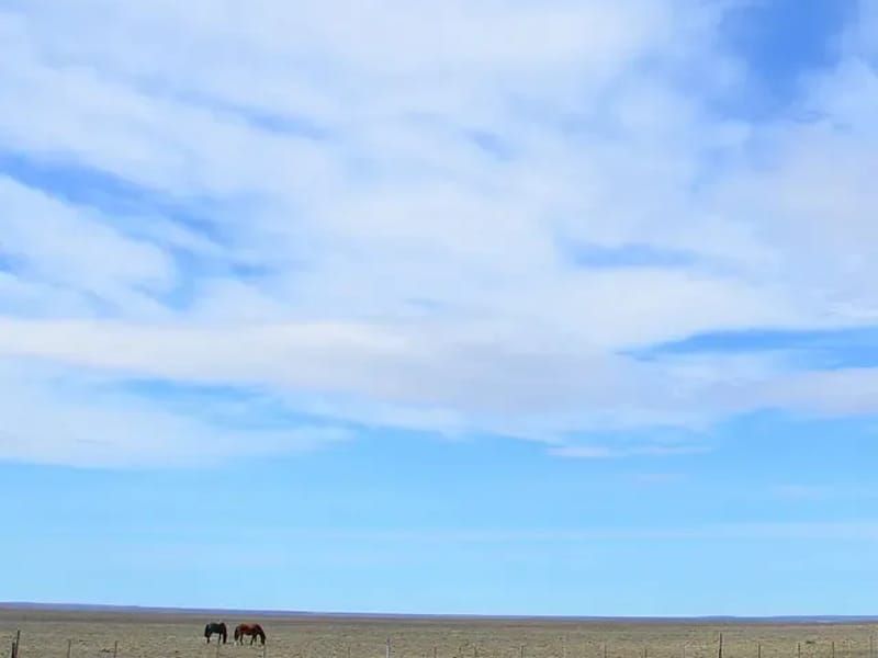 ANASTROFE (RTE) - Vida Asistida in COMODORO RIVADAVIA, CHUBUT photo 2