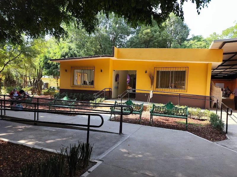 CENTRO DE CUIDADOS PARA EL ADULTO MAYOR - Hogar de Ancianos in Coyoacán, Ciudad de México photo 6