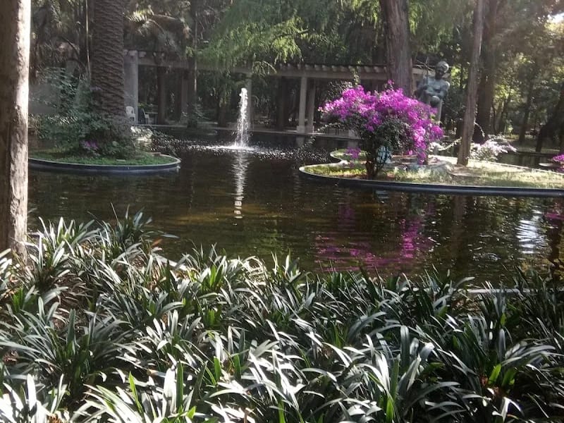 CENTRO DE CUIDADOS PARA EL ADULTO MAYOR - Hogar de Ancianos in Coyoacán, Ciudad de México photo 4