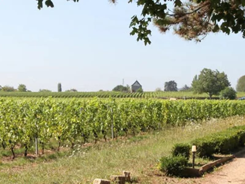 Fl Givry - Maison de Retraite in GIVRY, Bourgogne-Franche-Comté photo 3