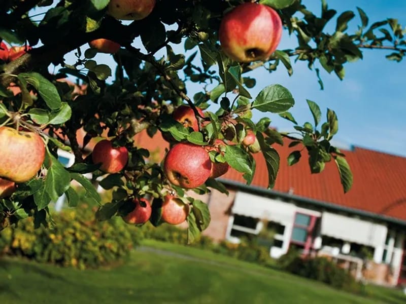 Vårdboende Åbrädden - Äldreboende in Helsingborg, Skåne län photo 2