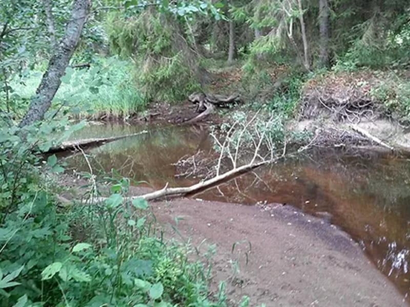 Torpdalen - Äldreboende in Karlskoga, Örebro län photo 2