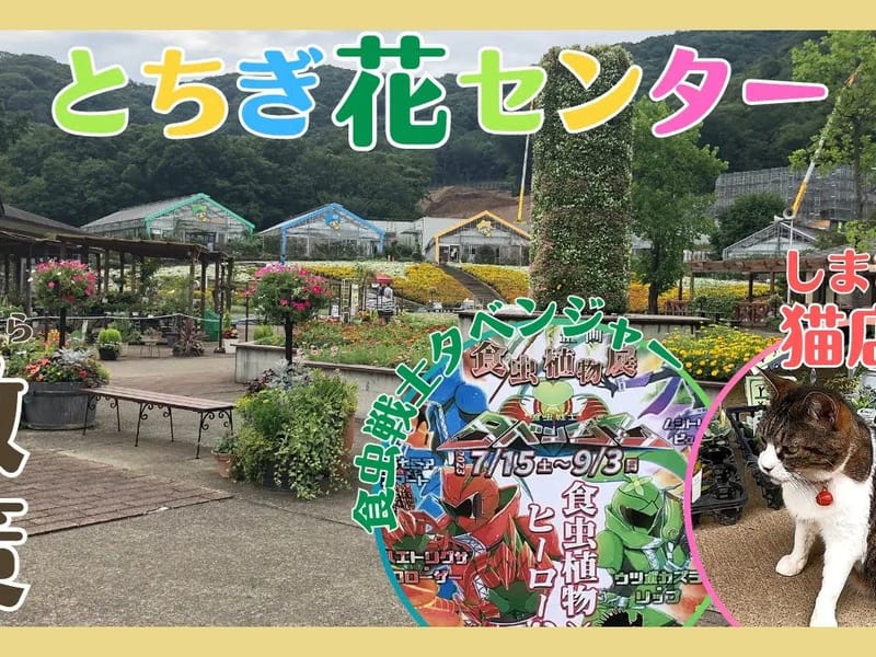 とちぎさんち - 有料老人ホーム in 栃木市, 栃木県 photo 3