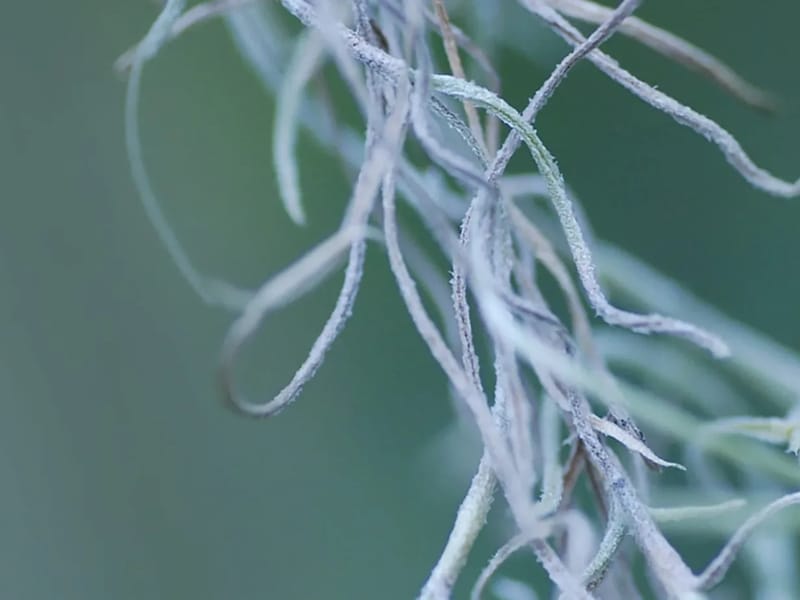Adaptive Roots - Home Health Nursing in San Diego, CA photo 3