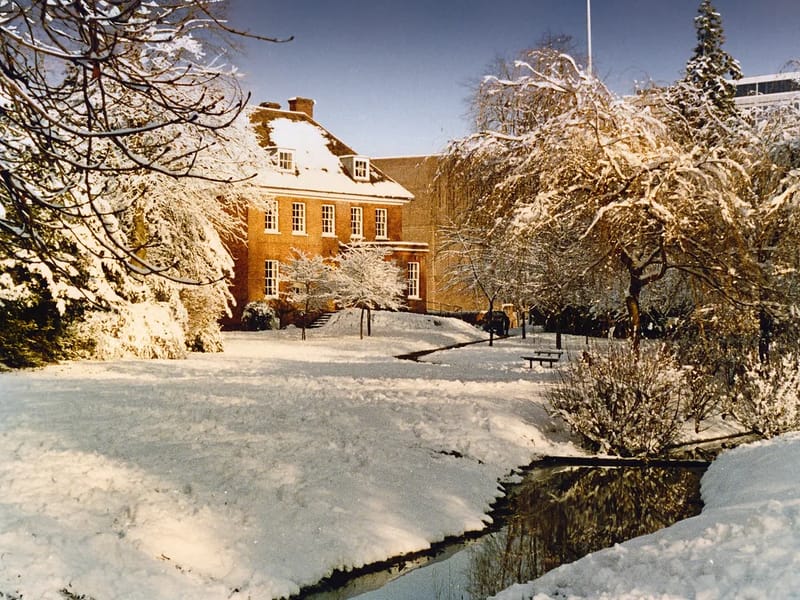 Glebelands in Basingstoke, England photo 2