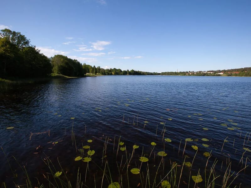 Nacksta 1 - Äldreboende in Sundsvall, Västernorrlands län photo 3