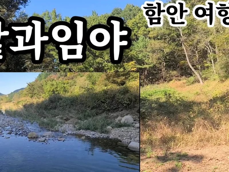 대산사랑방 in 함안군, 경상남도 photo 1