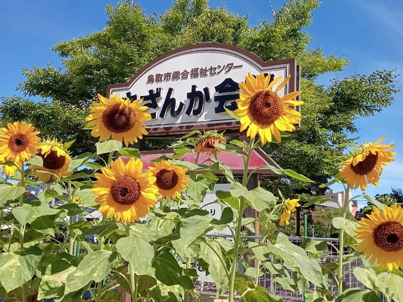 ひまわりの園デイサービスセンター - デイサービス in 鳥栖市, 佐賀県 photo 3