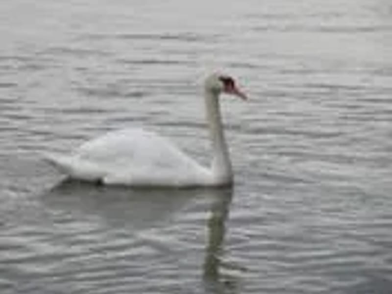 Almond Road Senior Estates - Assisted Living in Castro Valley, CA photo 1