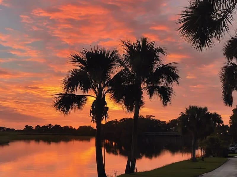 Aaa Referral & Home Health CORP. - Home Health Nursing in Tavares, FL photo 1