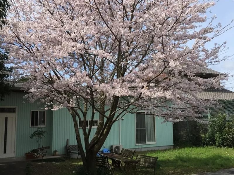 はなの居宅 - 有料老人ホーム in 亀山市, 三重県 photo 2