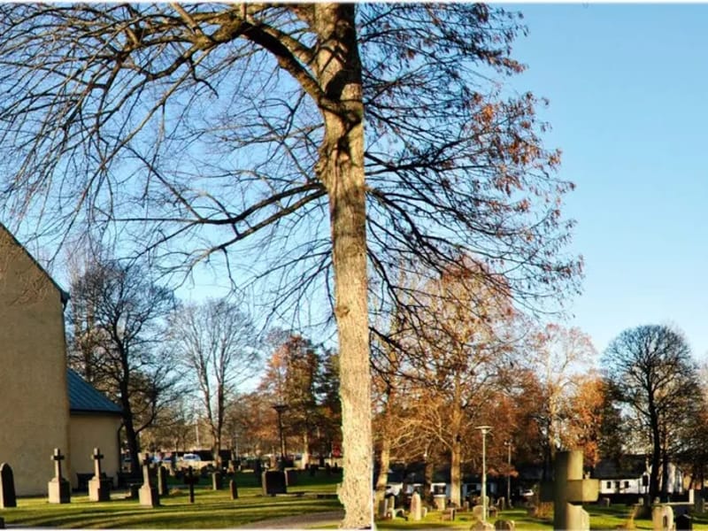 K&P Hemtjänst - Hemtjänst in Haninge, Stockholms län photo 2