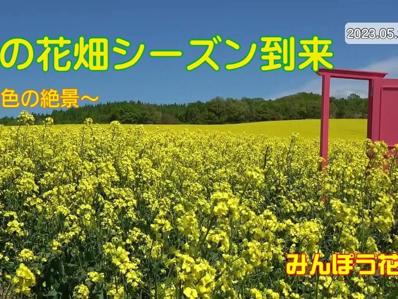 ふるさとおいわけ - 有料老人ホーム in 安平町, 北海道 photo 2