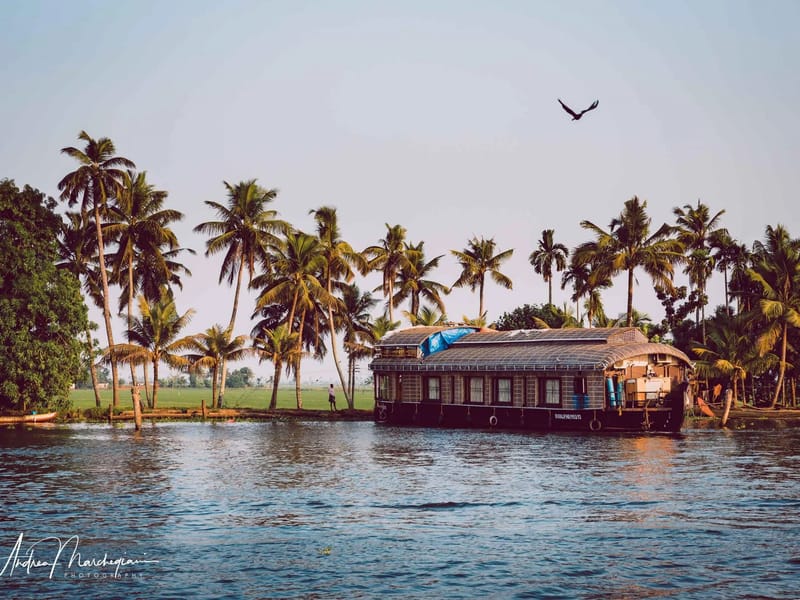 City Lab, Alappuzha - अस्पताल in Alappuzha, Kerala photo 6
