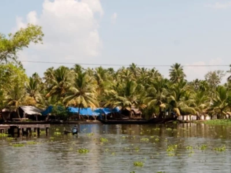 City Lab, Alappuzha - अस्पताल in Alappuzha, Kerala photo 1