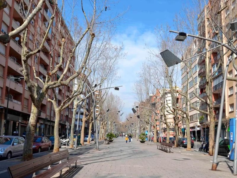 Centre de dia Passeig Prim - Centro de Día in Reus, Cataluña photo 2