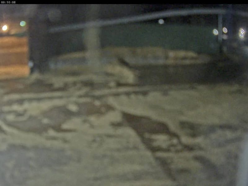 Björkudden - Serviceboende in Mora, Dalarnas län photo 2