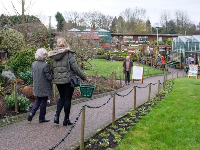 G&M Senior Care Limited t/a Home Instead Ruislip & Harrow - In-Home Care in Ruislip, England photo 5