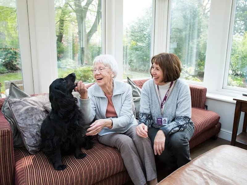 G&M Senior Care Limited t/a Home Instead Ruislip & Harrow - In-Home Care in Ruislip, England photo 9