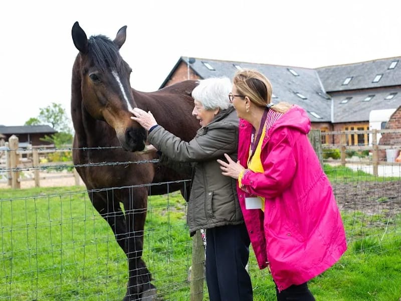 G&M Senior Care Limited t/a Home Instead Ruislip & Harrow - In-Home Care in Ruislip, England photo 6