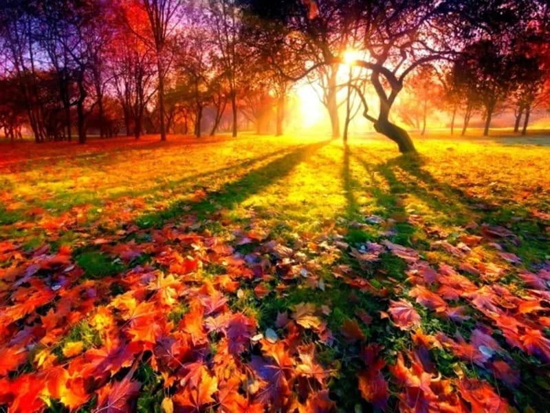 EMS Joli Automne - Betreutes Wohnen in Na, Vaud photo 2