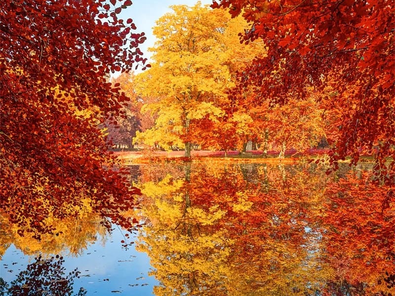 EMS Joli Automne - Betreutes Wohnen in Na, Vaud photo 1