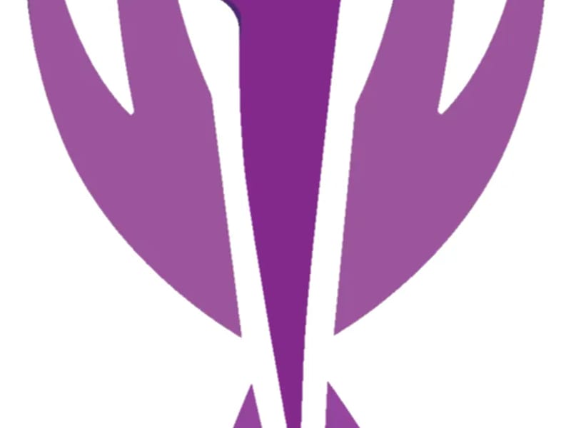 AMERICAN REHABILITATION SERVICES,P.C. - Home Health Nursing in Skokie, IL photo 1