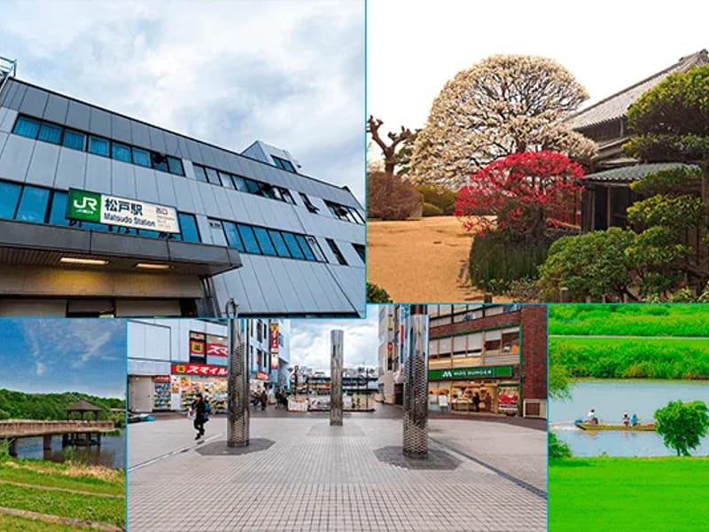 Face - 有料老人ホーム in 松戸市, 千葉県 photo 3