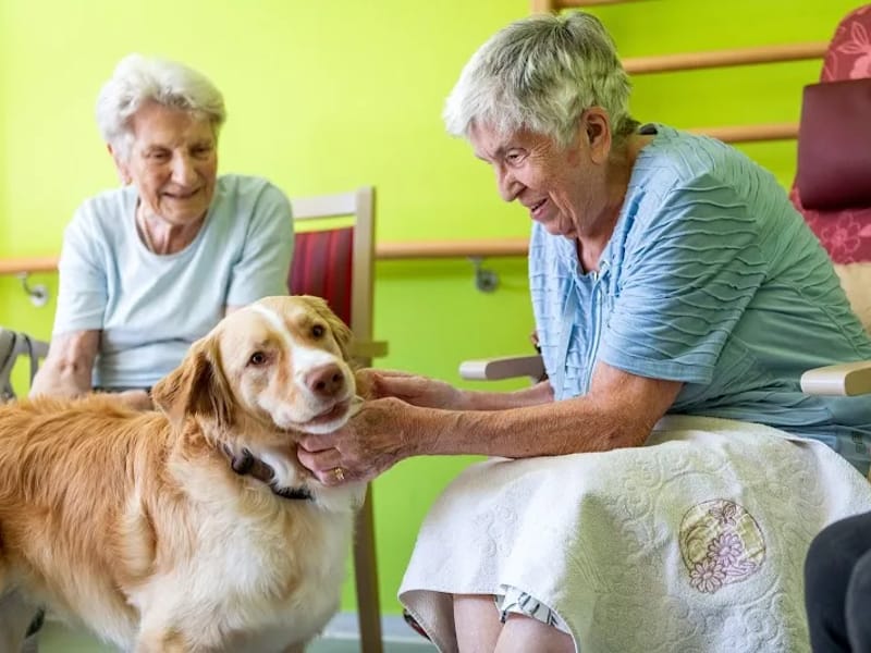 Tagespflegestätte Obstallee - Tagespflege in Berlin, Berlin photo 4