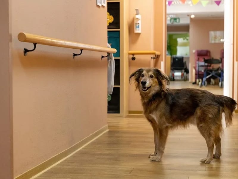 Tagespflegestätte Obstallee - Tagespflege in Berlin, Berlin photo 3