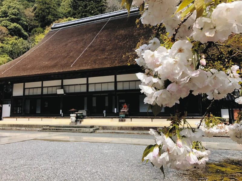 だすきんへるすれんとようかいち - 有料老人ホーム in 東近江市, 滋賀県 photo 2