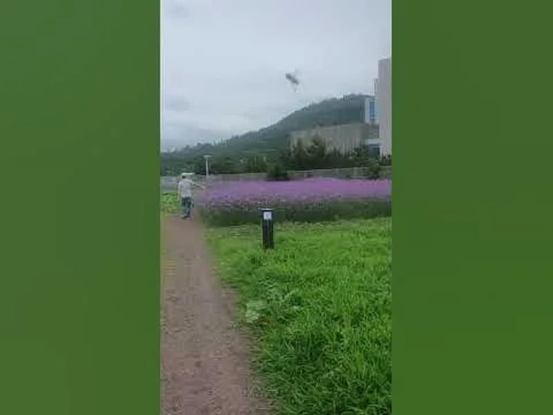 남제주요양원 in 서귀포시, 제주특별자치도 photo 2