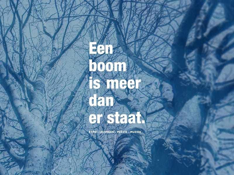 De Egelantier - Begeleid Wonen in Hilversum, Noord-Holland photo 3