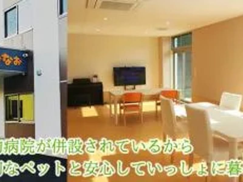 Industrial・Handsヘルパーステーション - 訪問介護 in 七尾市, 石川県 photo 3