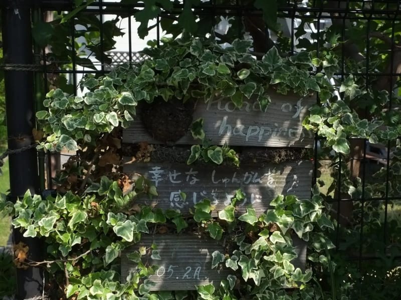 グループホーム くるま花水木 - 認知症ケア in 淡路市, 兵庫県 photo 3