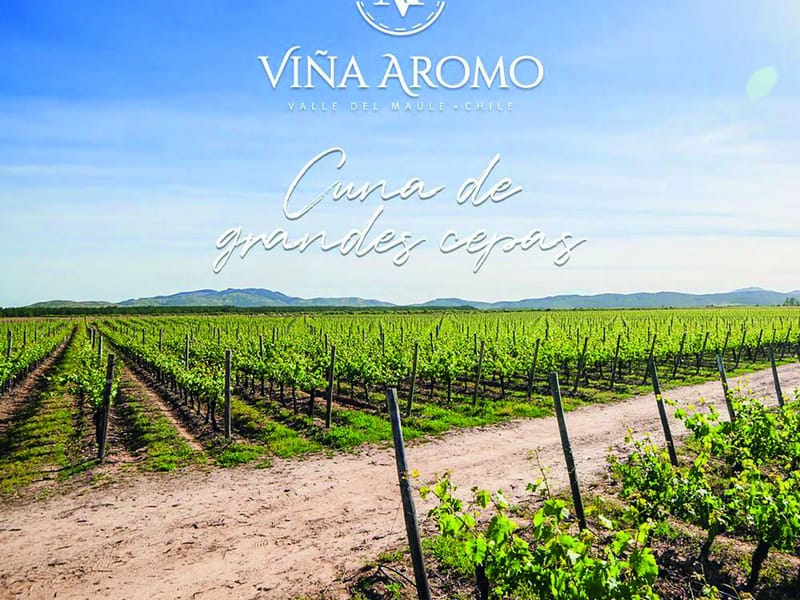 El Aromo - Vida Asistida in Vitacura, Región Metropolitana de Santiago photo 1