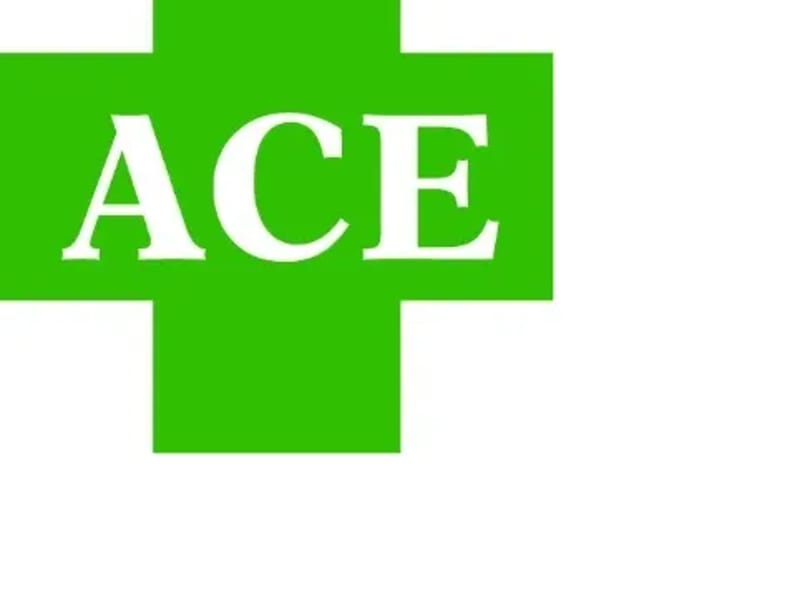 ACE MEDICAL SERVICES LLC - Home Health Nursing in Belleville, IL photo 1