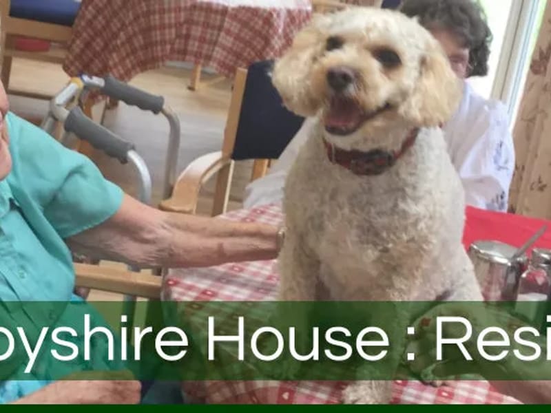 DCC North East Derbyshire Home Care - In-Home Care in Chesterfield, England photo 3