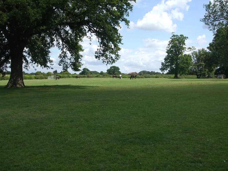 Holywell Park - Nursing Home in Sevenoaks, England photo 3