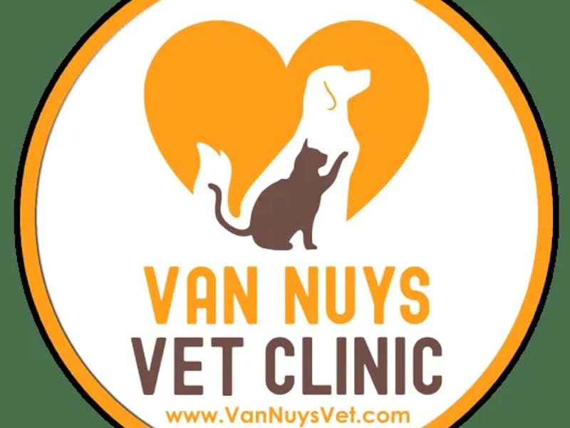 A.L CARE CORP - Home Health Nursing in Van Nuys, CA photo 1