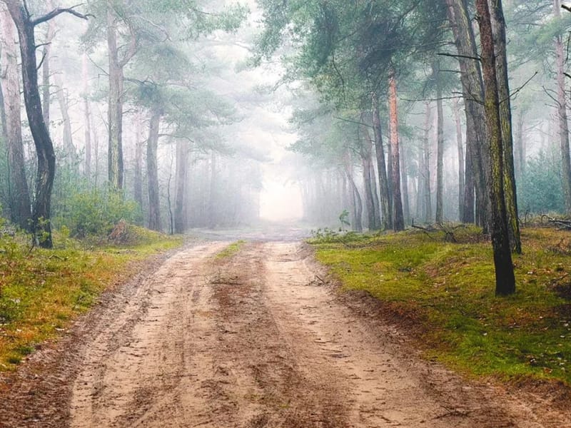 De Bloemendal - Verpleeghuis in Deventer, Overijssel photo 3